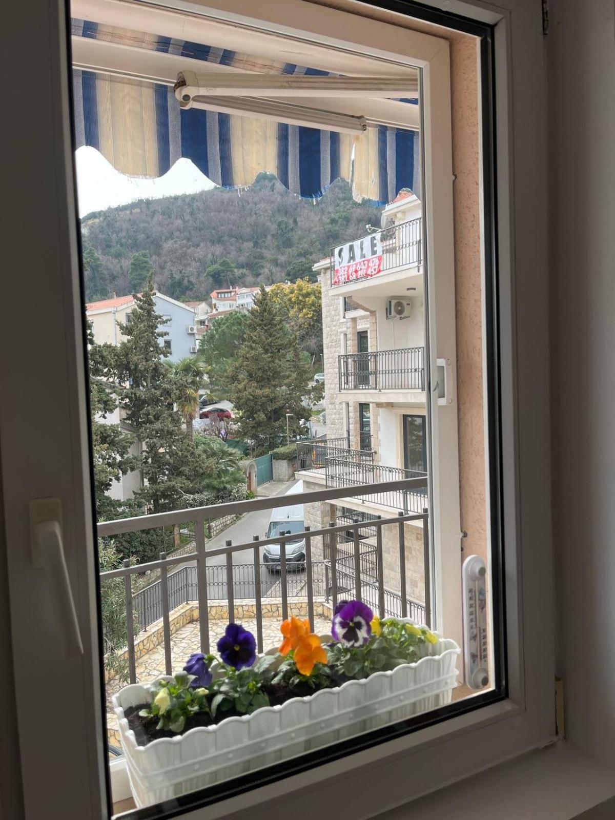 Apartment Igor Budva